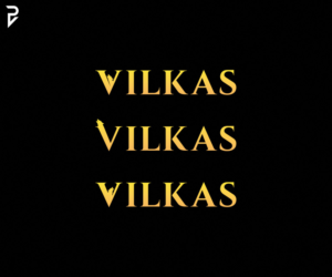 Logo Design by poisonvectors for VILKAS Management | Design: #27985305