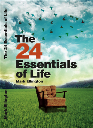 Book Cover Design by Oguz Aybar for this project | Design #769002