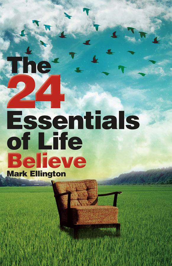 Book Cover Design by Oguz Aybar for this project | Design #790219