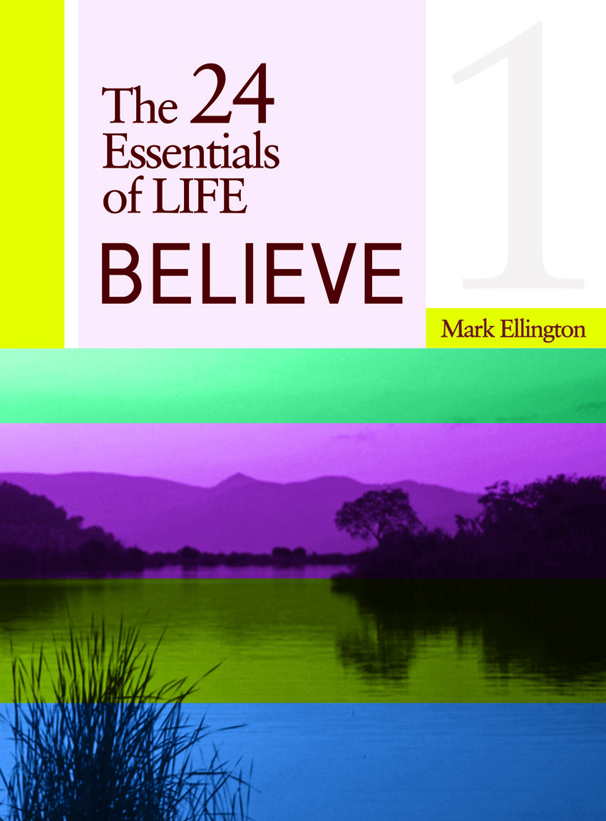 Book Cover Design by brcerby for this project | Design #761572