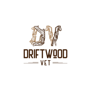 Logo-Design von Deziners Zone für dieses Projekt | Design: #27987217