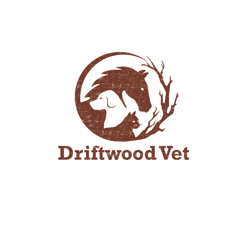 Logo-Design von instudio für dieses Projekt | Design #27983874