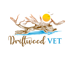 Logo Design by blue eye