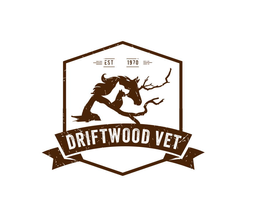 Logo Design by creativea for this project | Design #27993302