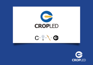 Logo Design by peter