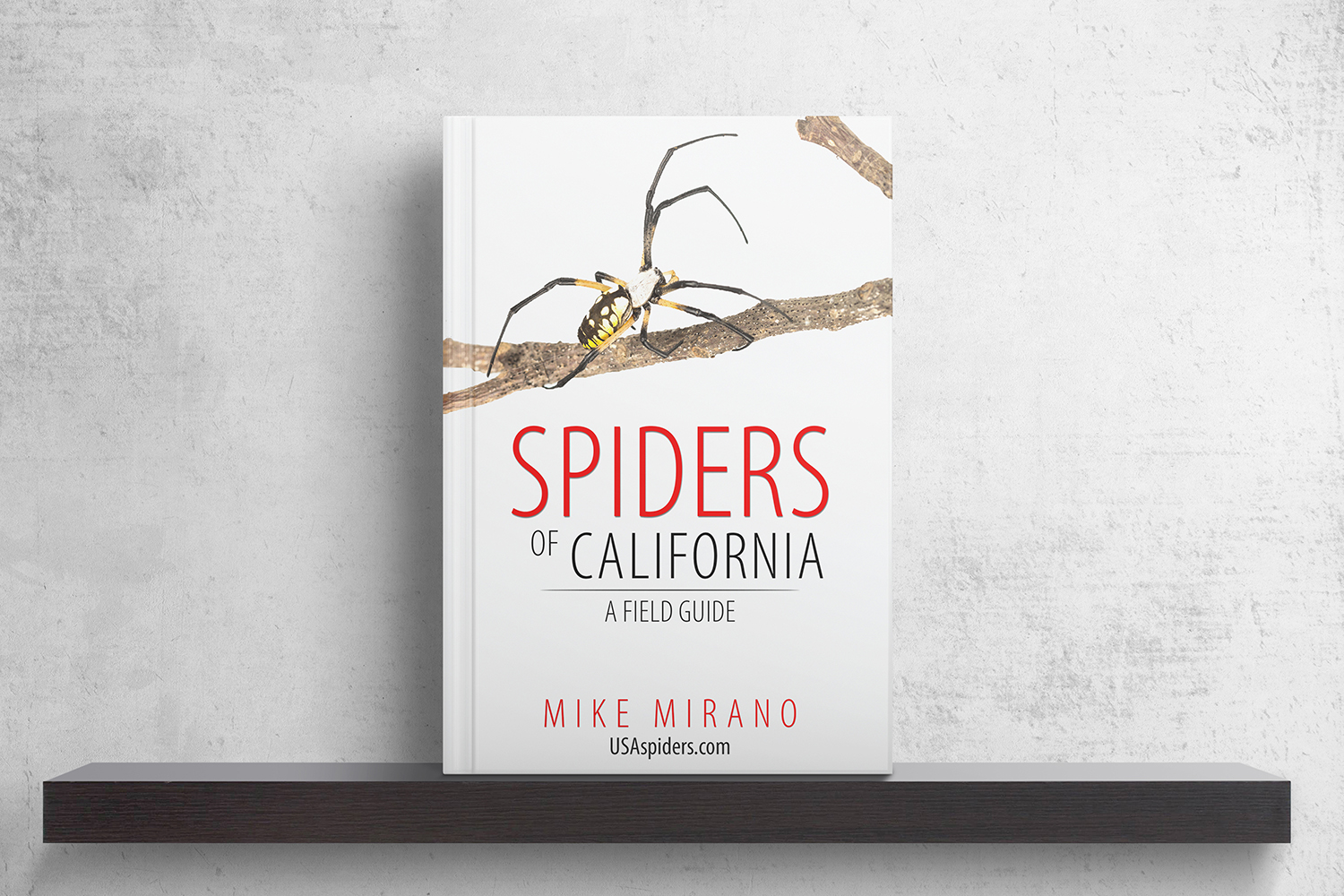 Diseño de portada de libro por CreaTVIT para este proyecto | Diseño #27994767