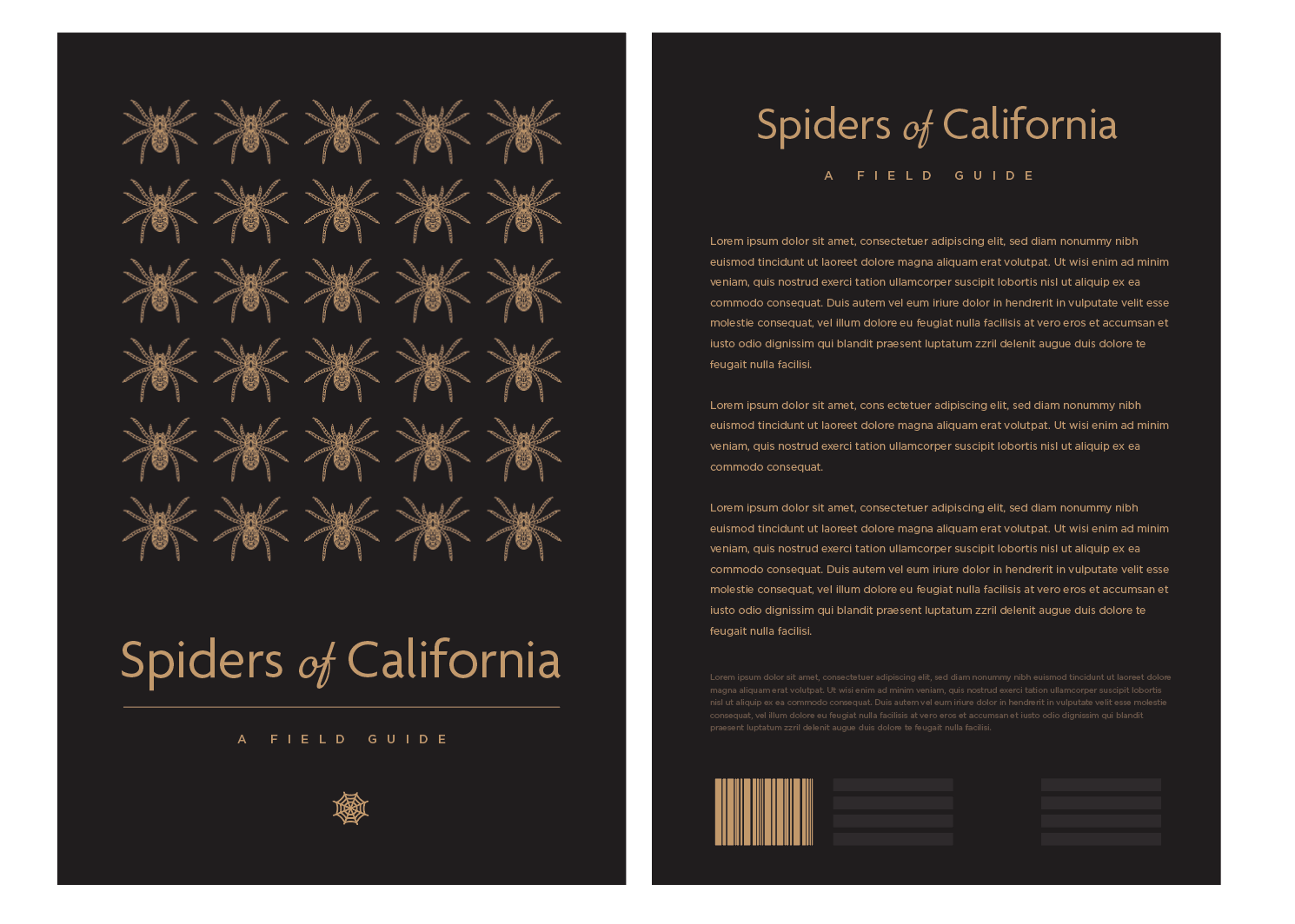 Book Cover Design by Ben for this project | Design #28010911