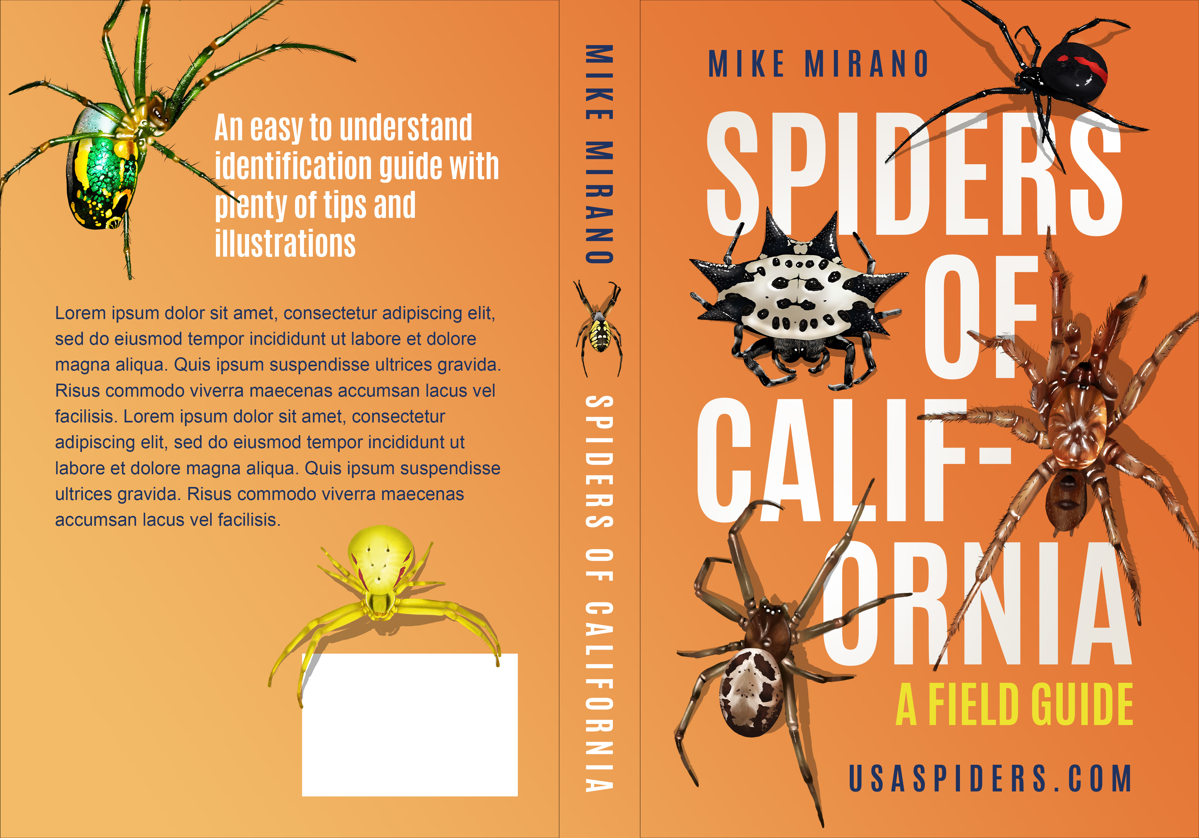 Book Cover Design by Coleen Designs for this project | Design #28016465