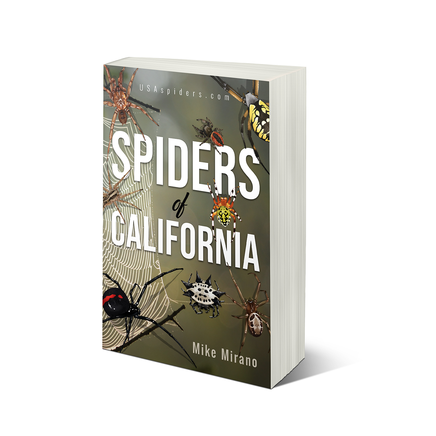 Book Cover Design by BengsWorks for this project | Design #28017059