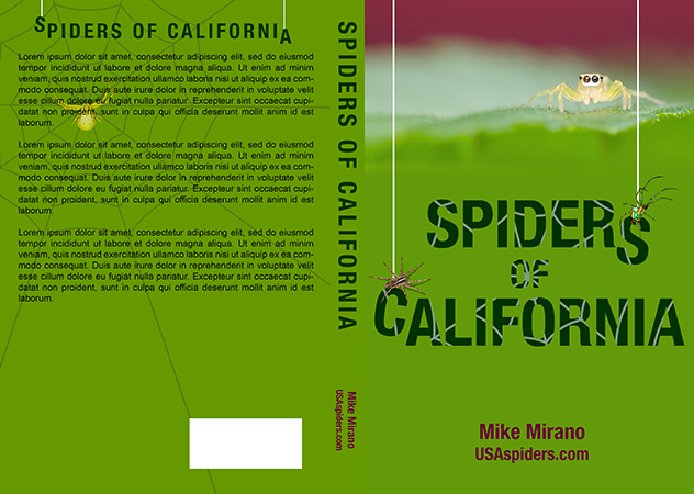 Book Cover Design by raynemuray for this project | Design #28002716