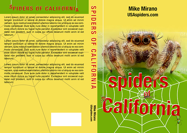 Buchumschlag Design von raynemuray für dieses Projekt | Design #28002985