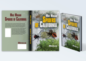 Book Cover Design by Imagebos for this project | Design: #27996179