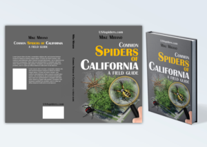 Book Cover Design by Imagebos for this project | Design: #27998311