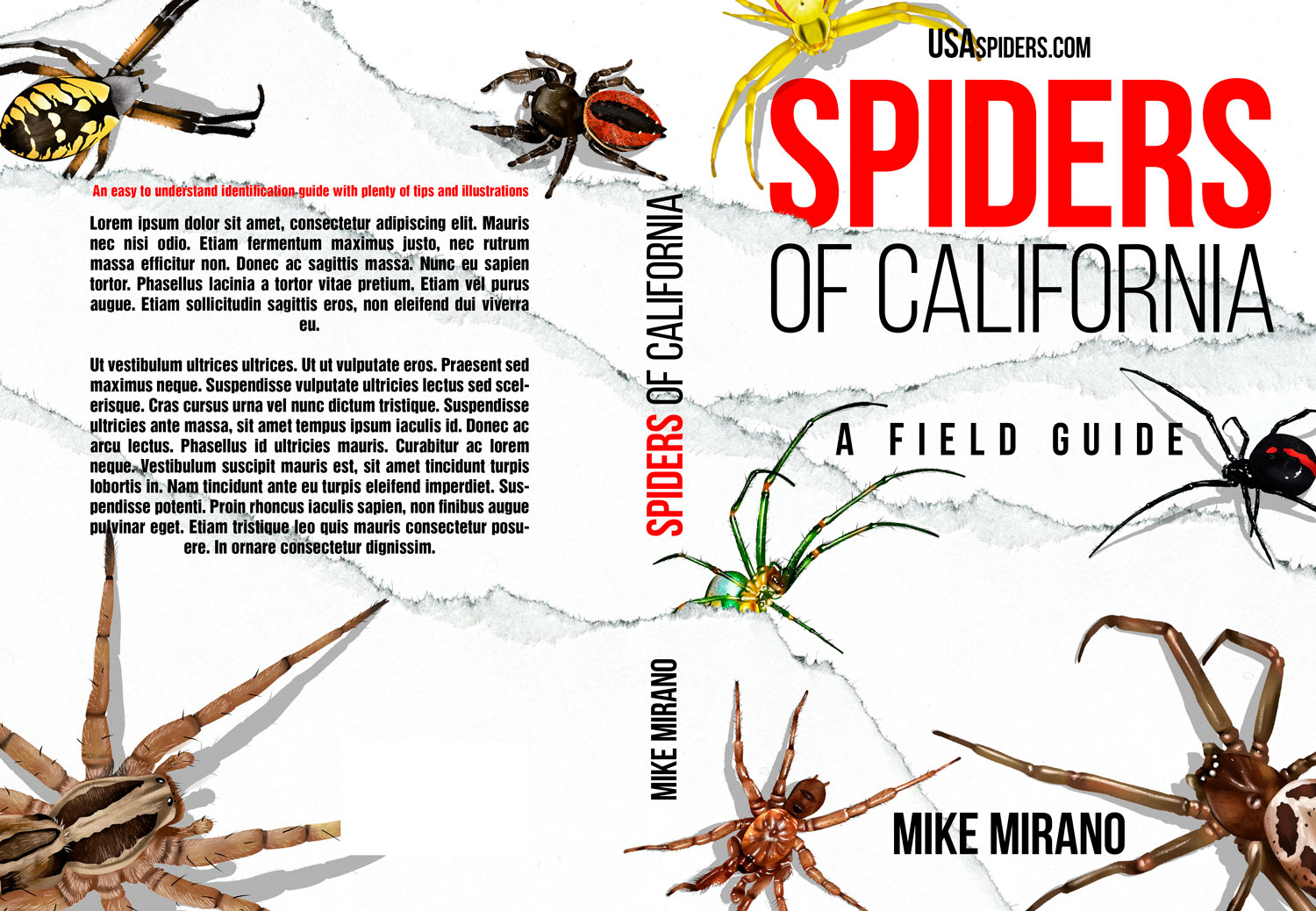 Book Cover Design by Estratosphera for this project | Design #27995811