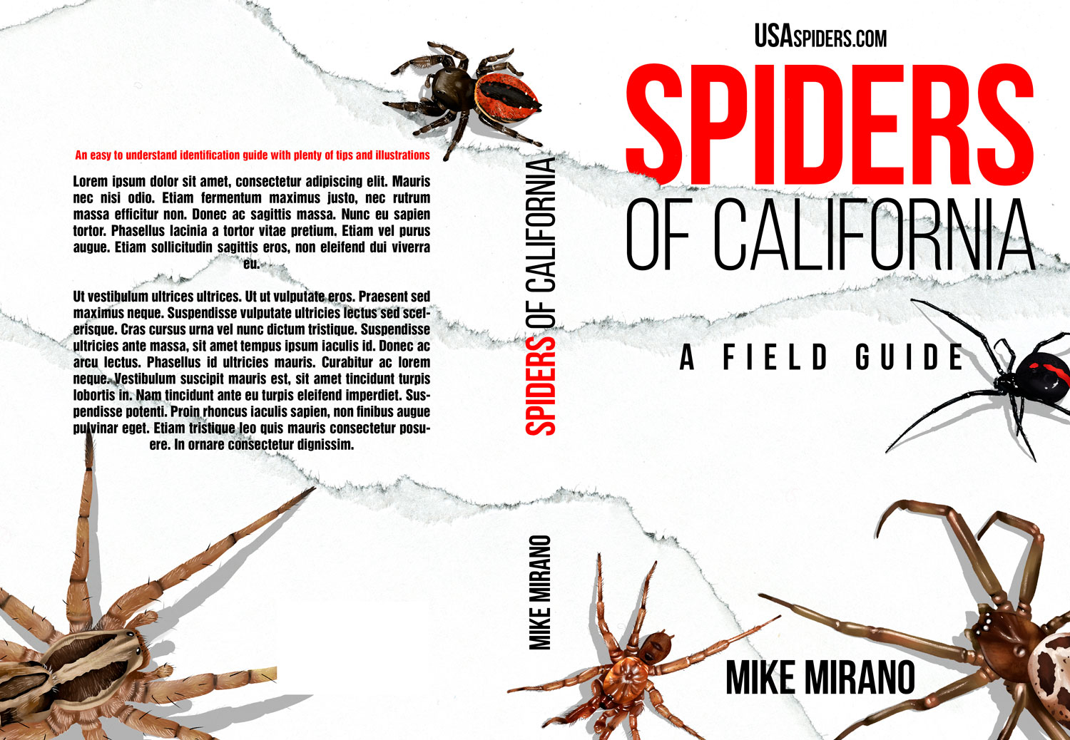 Buchumschlag Design von Estratosphera für dieses Projekt | Design #27996015