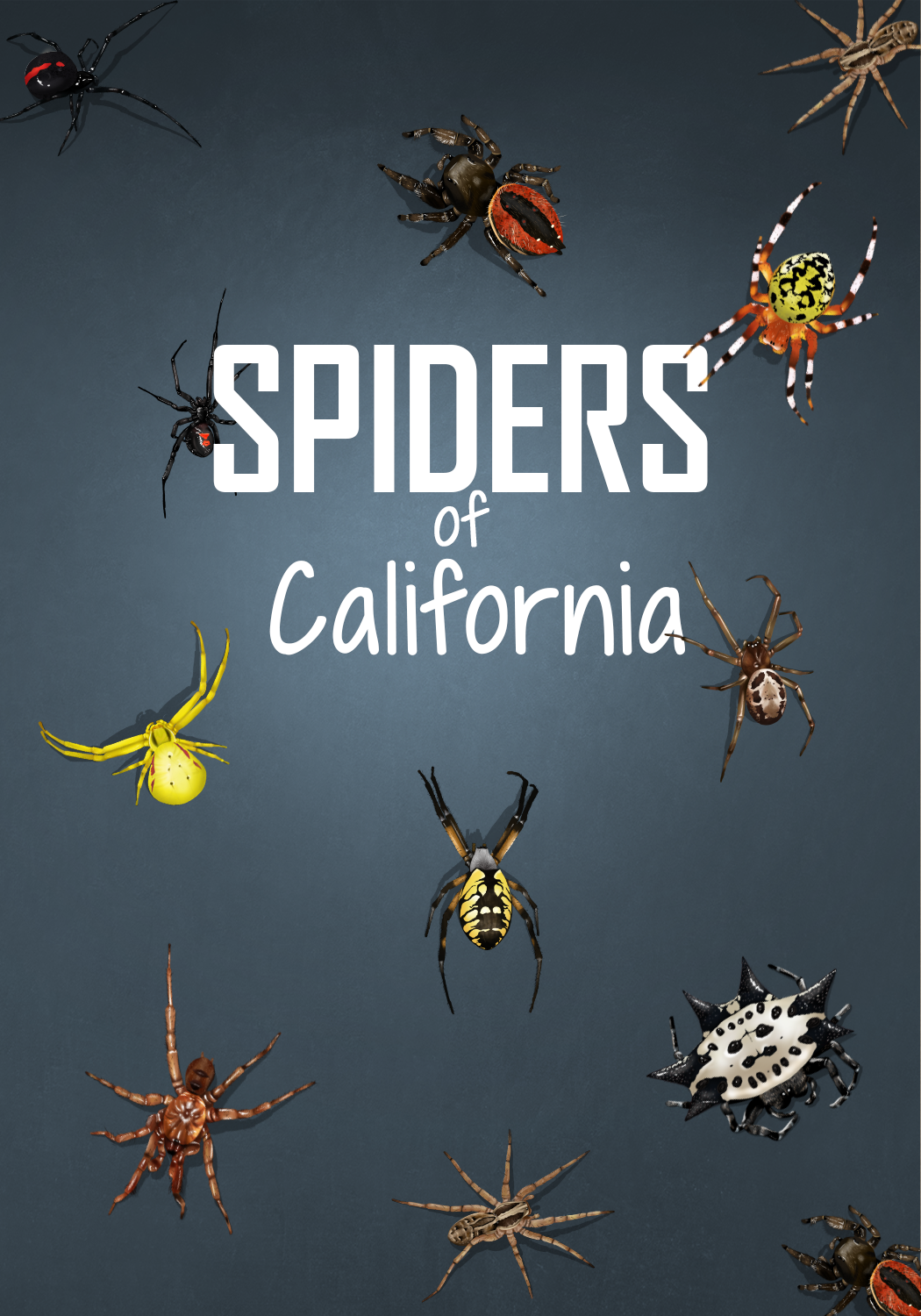 Book Cover Design by sormaz.tanja for this project | Design #27994538