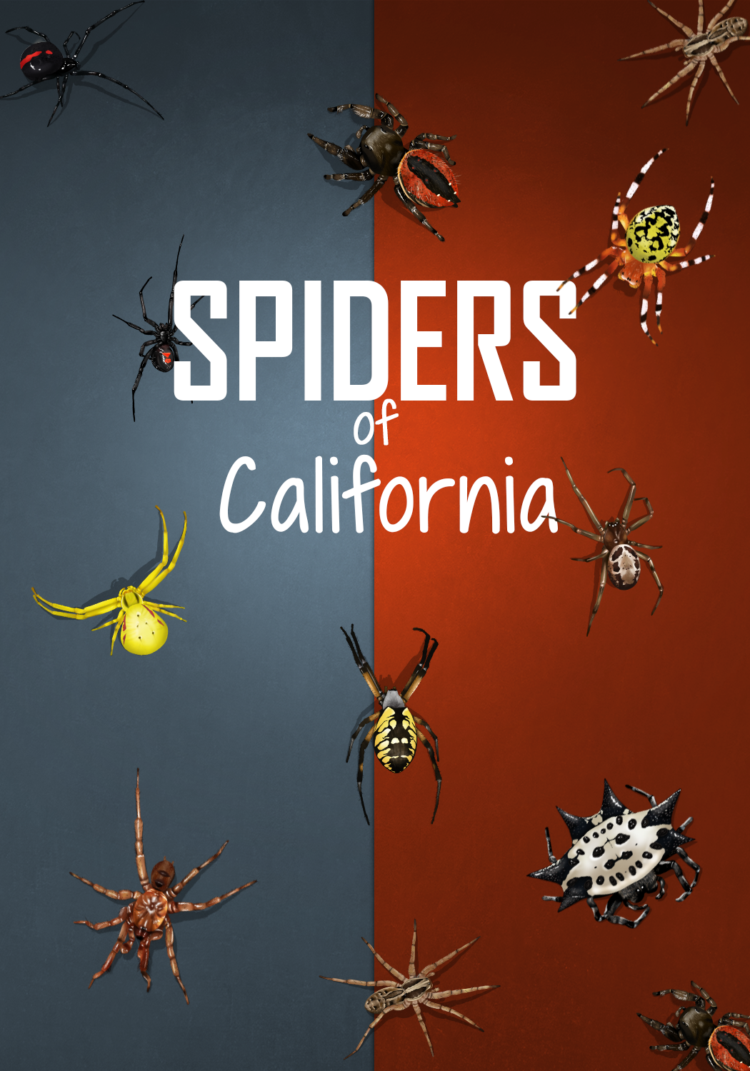 Book Cover Design by sormaz.tanja for this project | Design #27994539