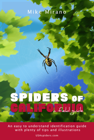 Book Cover Design by ioio for this project | Design: #28001634