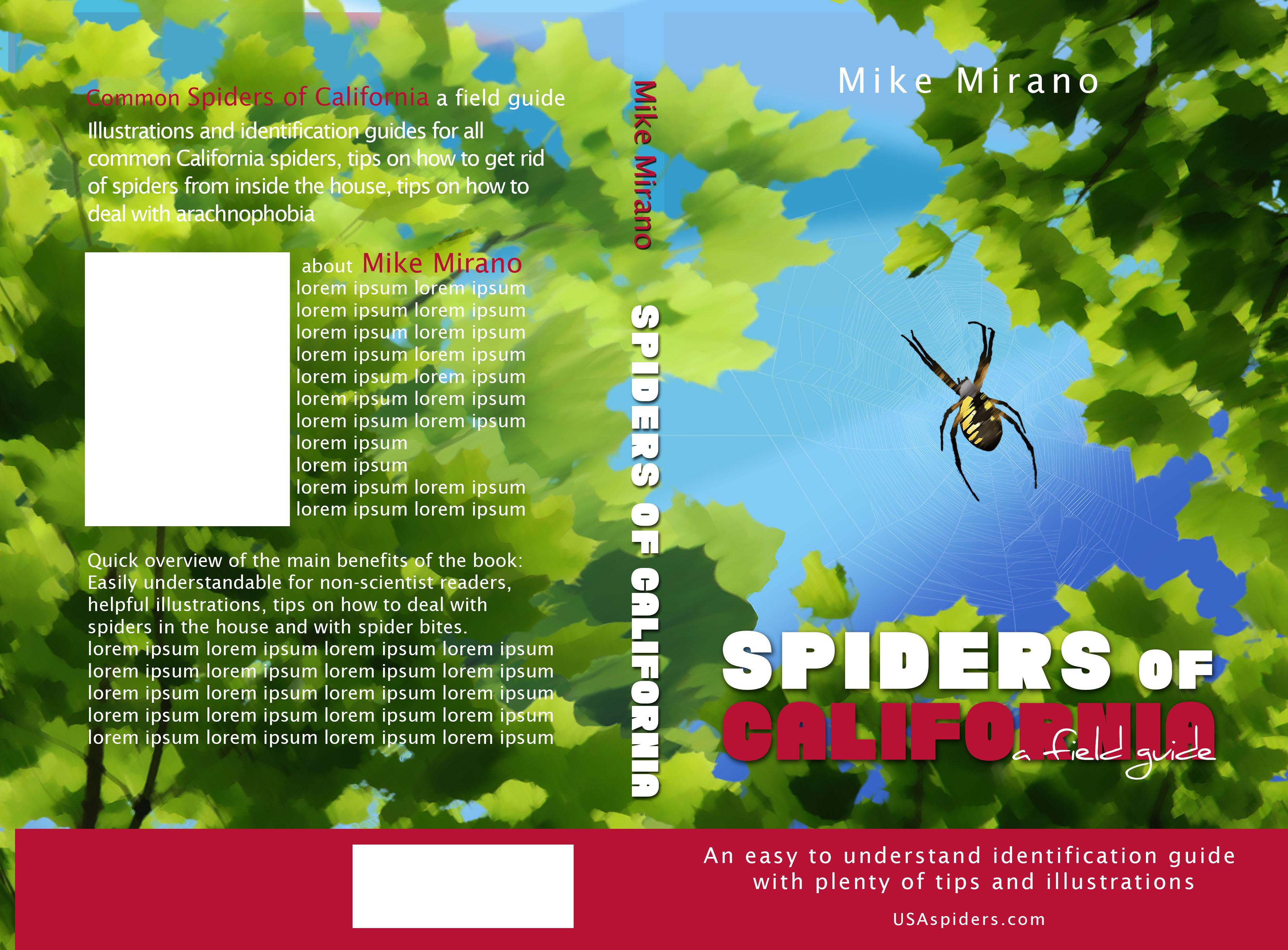Book Cover Design by ioio for this project | Design #28001635