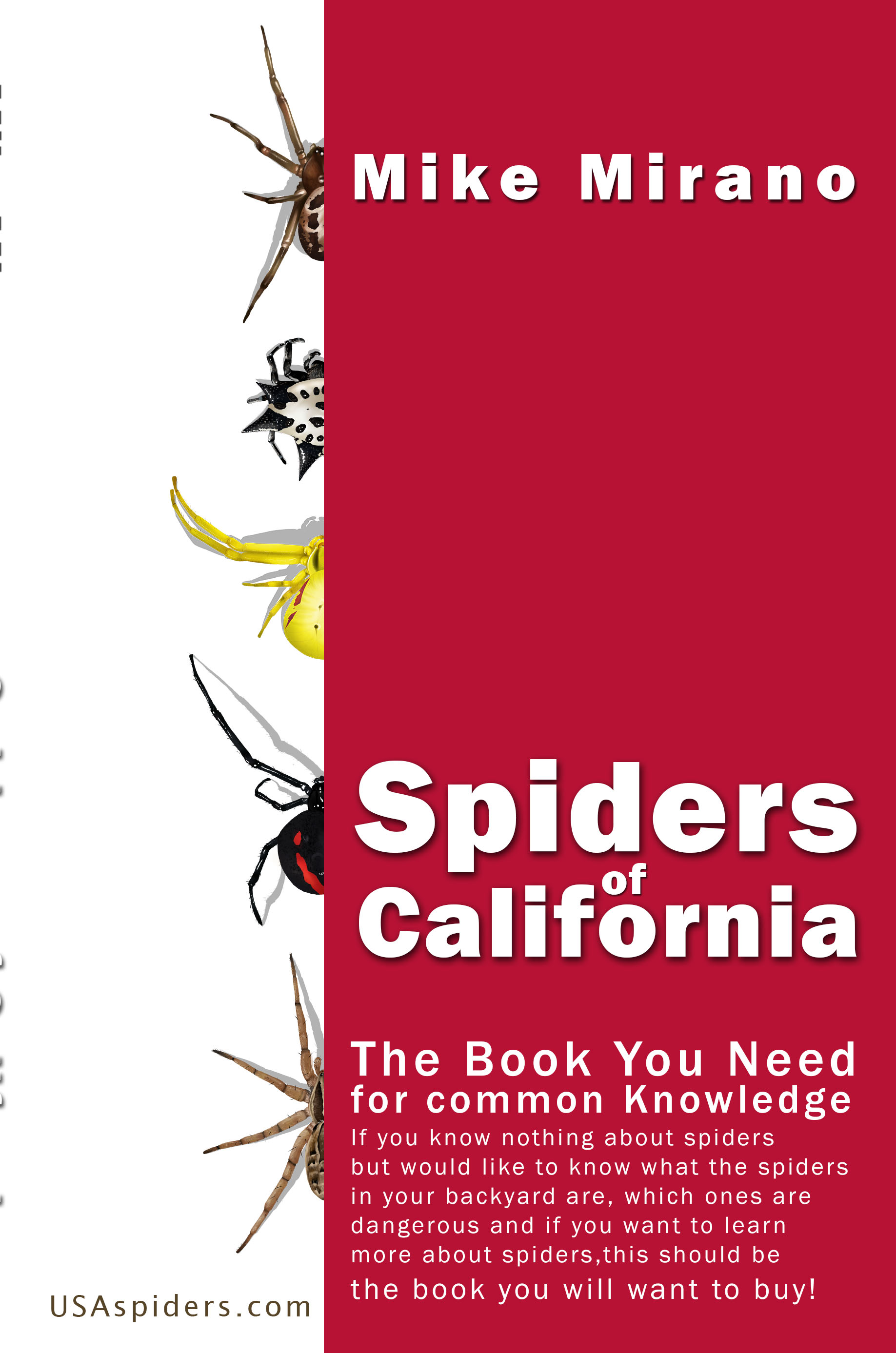 Book Cover Design by ioio for this project | Design #28001647
