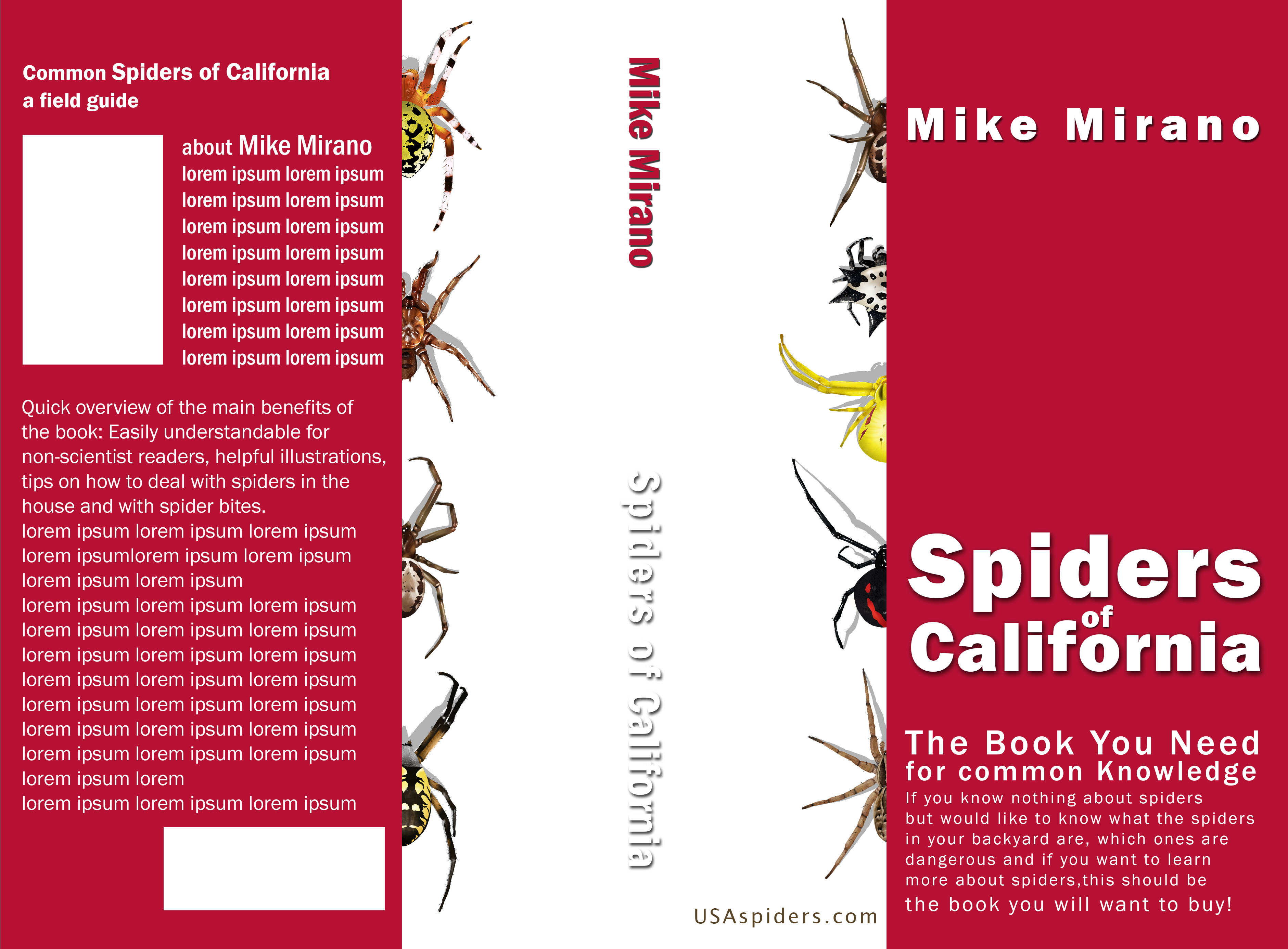 Book Cover Design by ioio for this project | Design #28001648