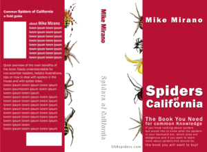 Book Cover Design by ioio for this project | Design: #28001648