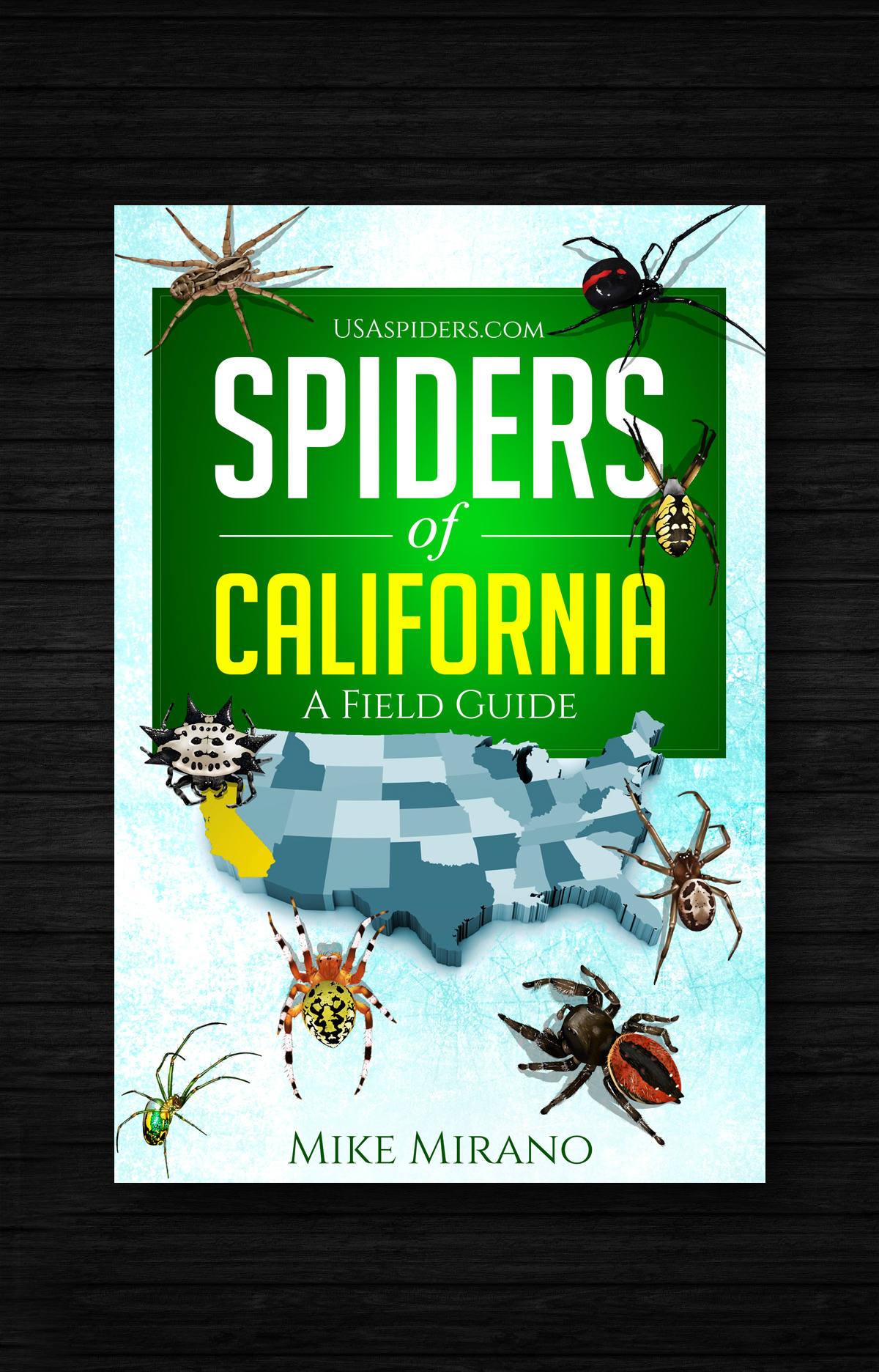 Book Cover Design by designersaumya 2 for this project | Design #27996646