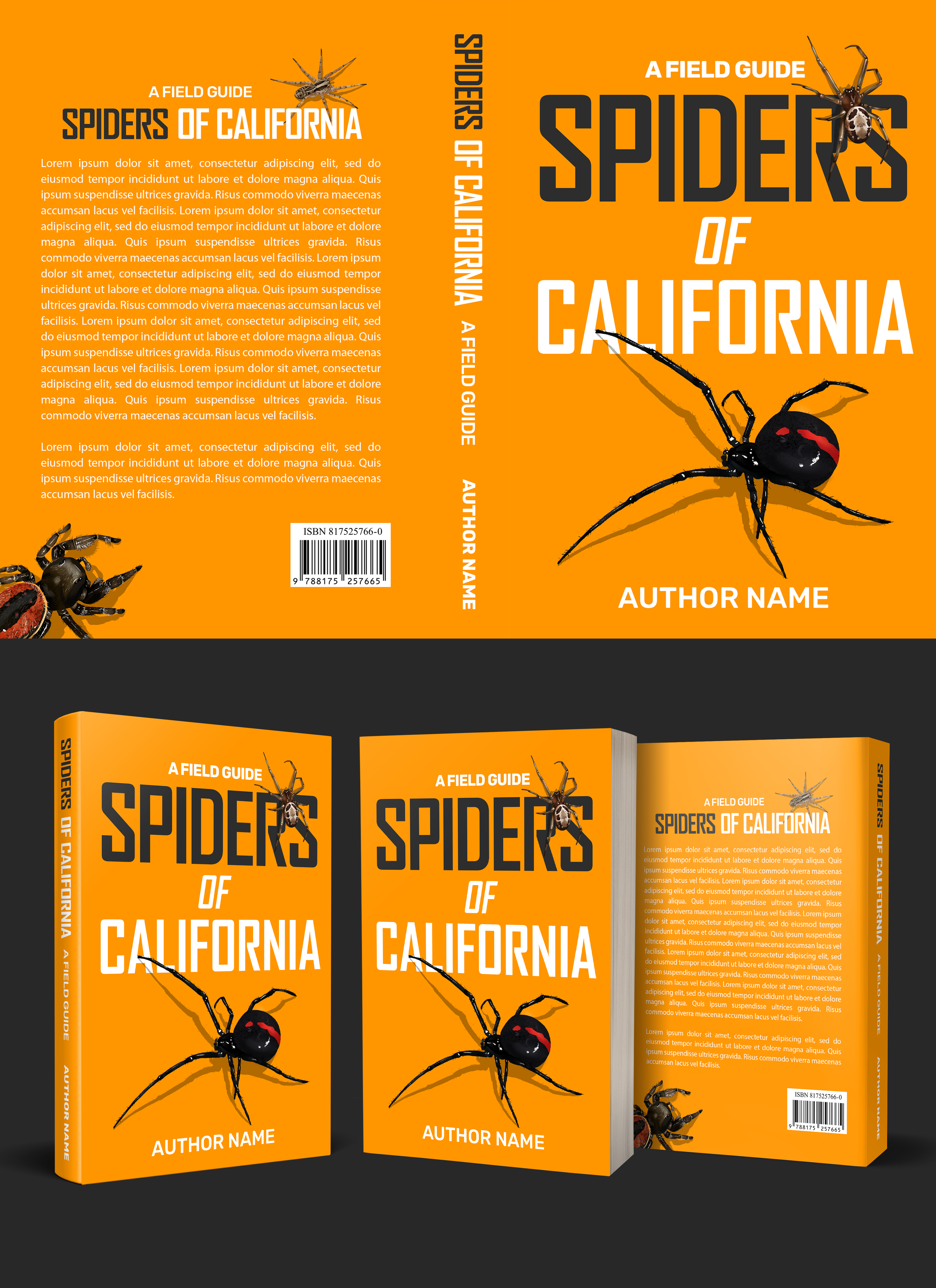 Book Cover Design by aj for this project | Design #28002160