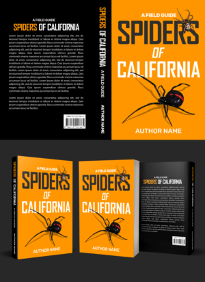 Book Cover Design by aj for this project | Design: #28002165