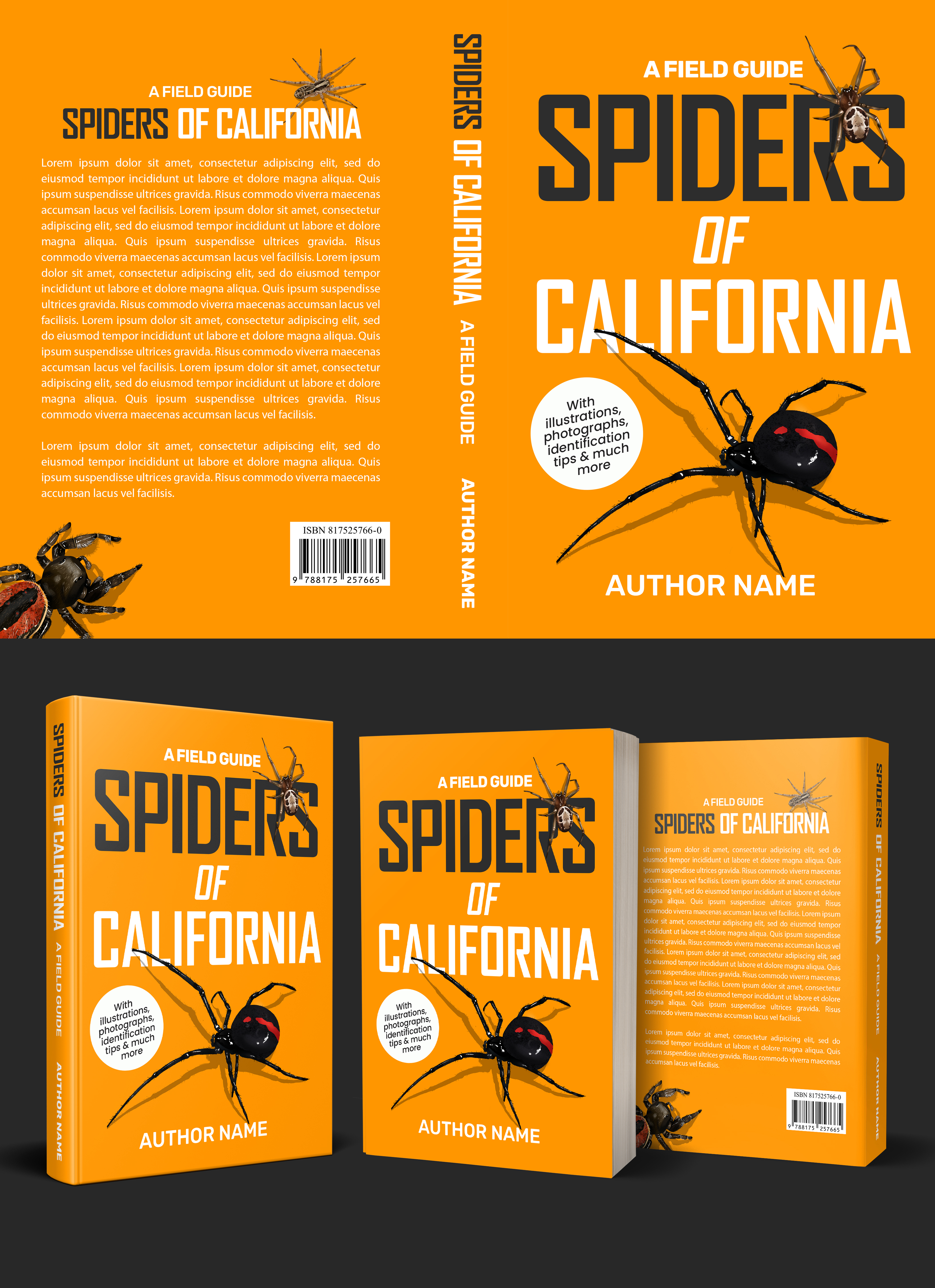 Book Cover Design by aj for this project | Design #28003109