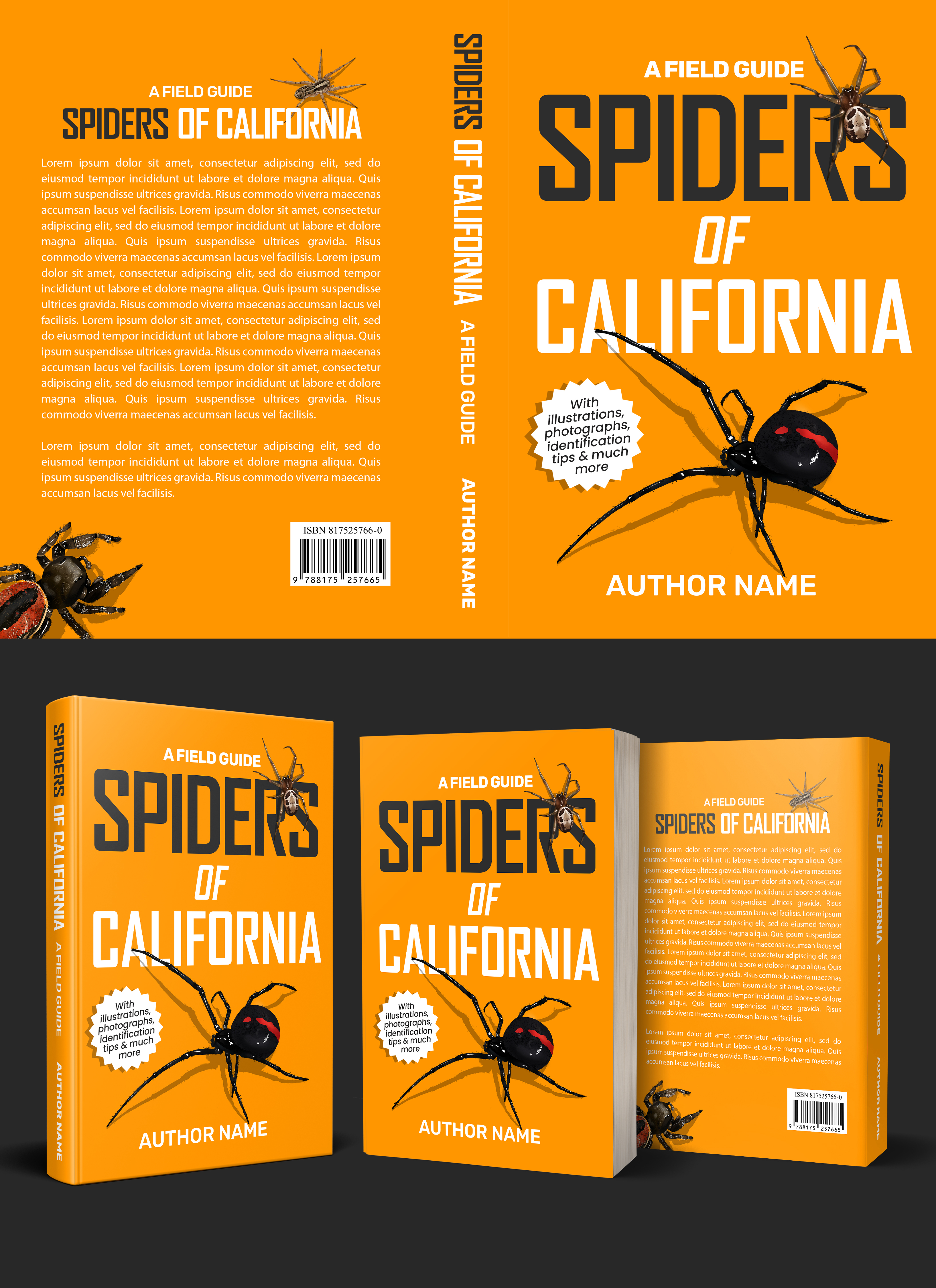 Book Cover Design by aj for this project | Design #28003110