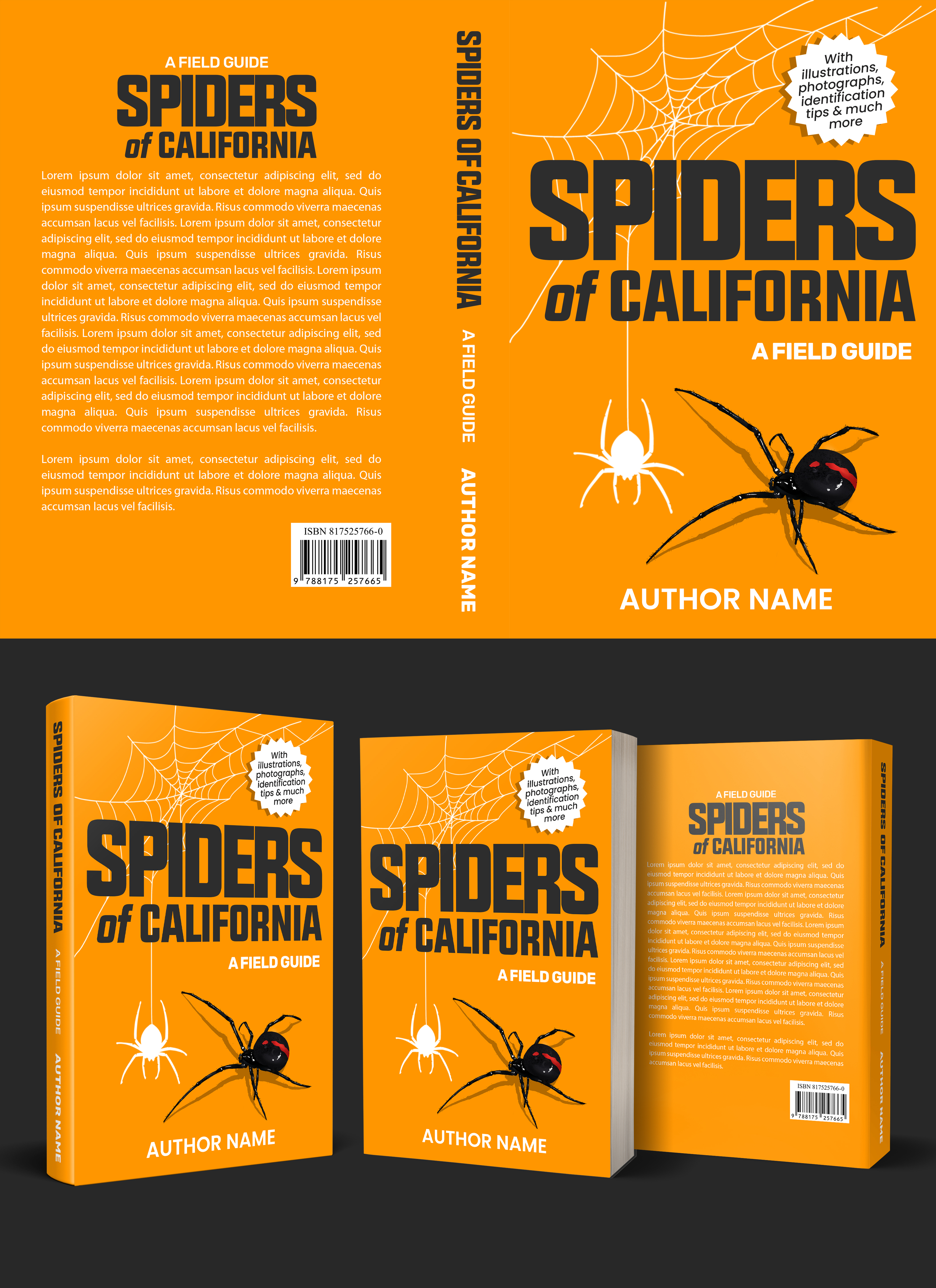 Book Cover Design by aj for this project | Design #28008478