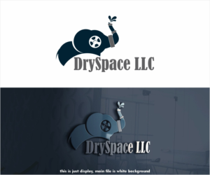 Logo Design by alkaline for DRYSPACE LLC | Design: #27985632