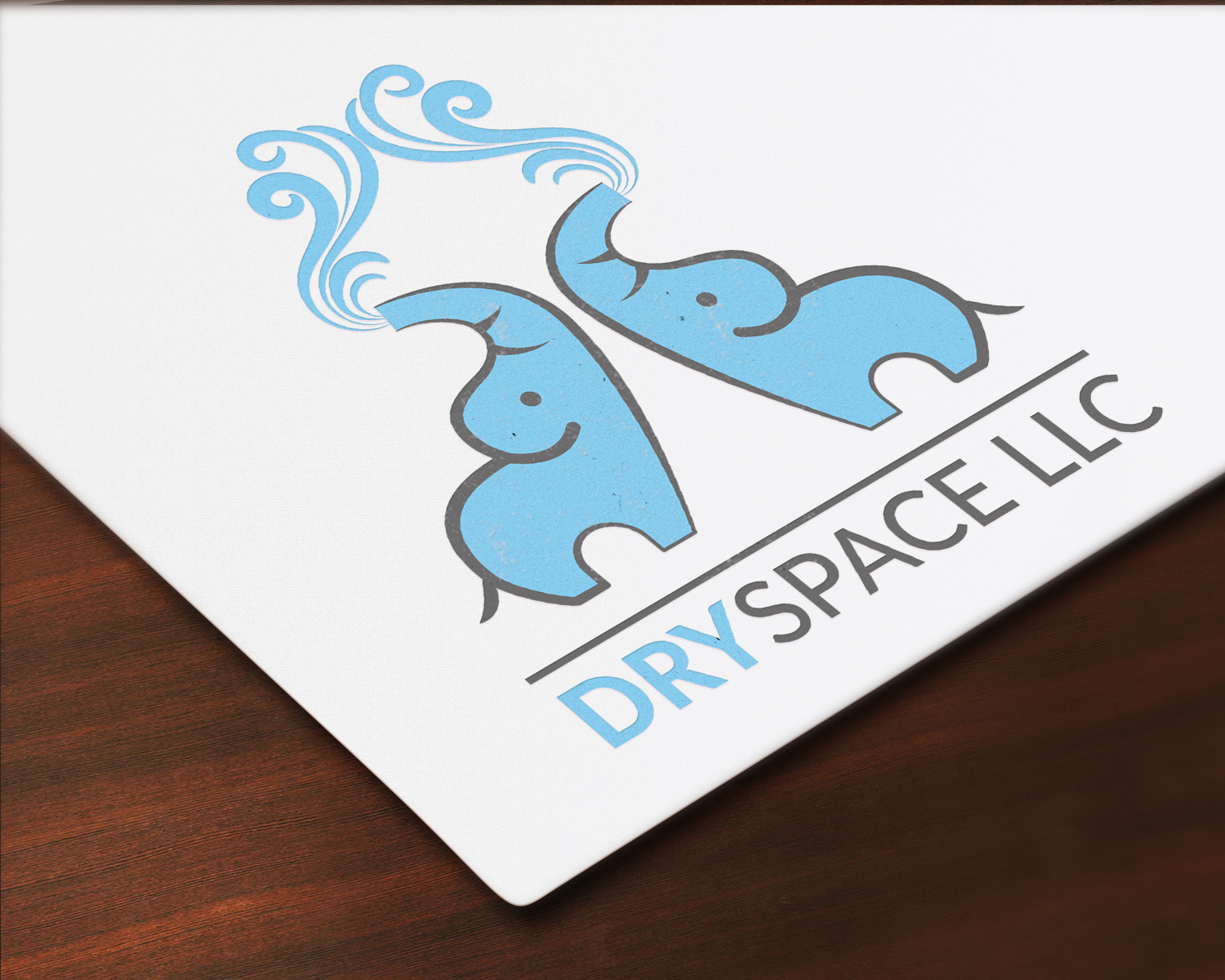 Design de Logo par Your_Design pour DRYSPACE LLC | Design #28010271