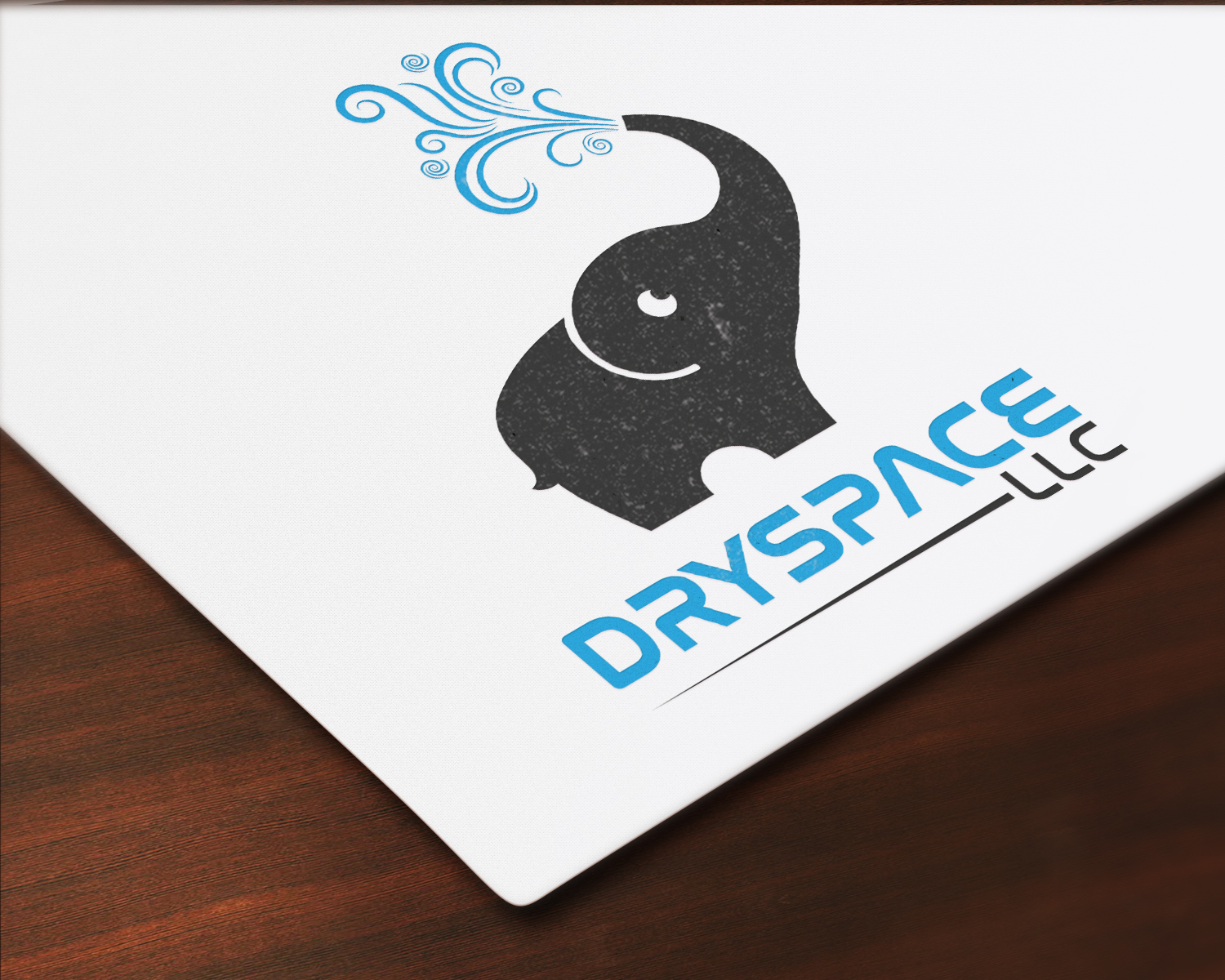 Design de Logo par Your_Design pour DRYSPACE LLC | Design #28012497