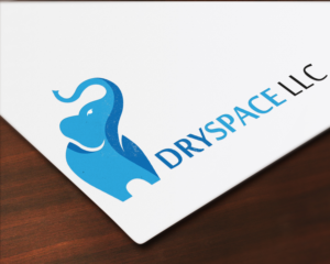 Logo Design by Your_Design for DRYSPACE LLC | Design: #28015807