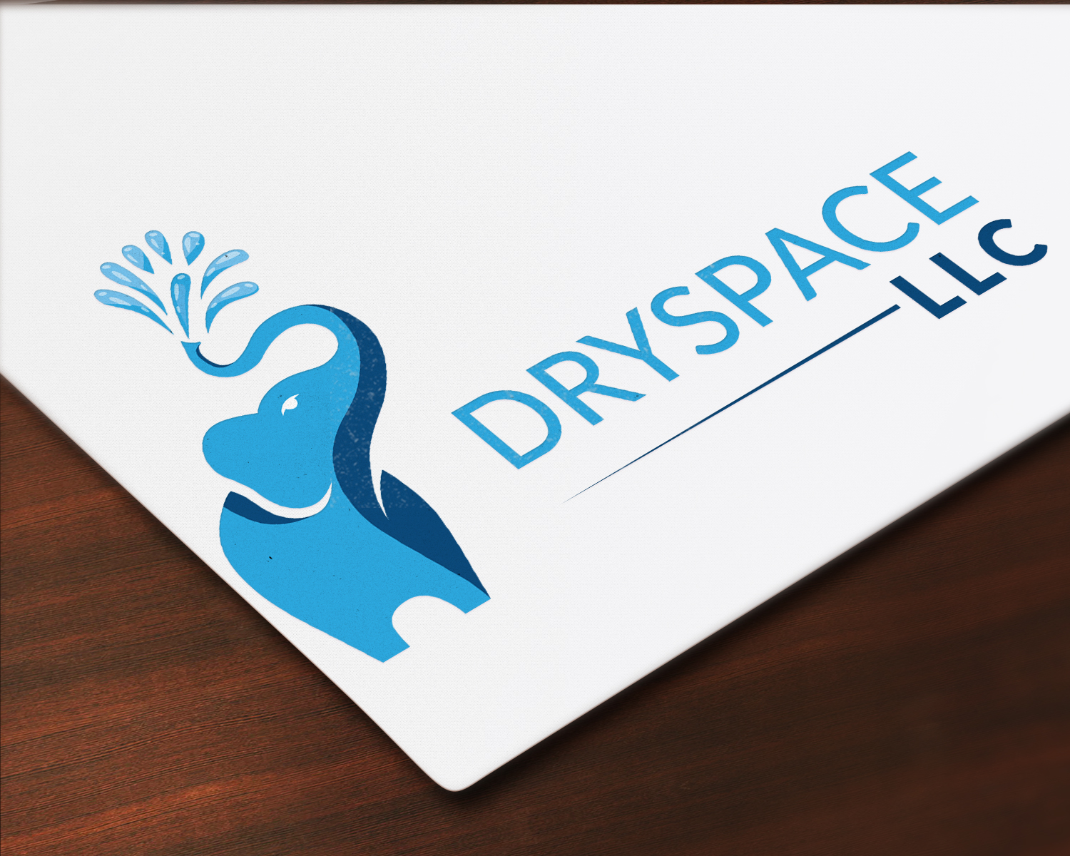 Logo Design by Your_Design for DRYSPACE LLC | Design #28018215