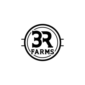 Diseño de Logo por MG.graphics para este proyecto | Diseño: #27999592