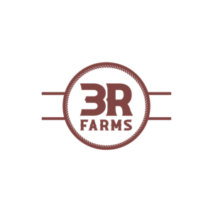 Diseño de Logo por rozT para este proyecto | Diseño: #28026235
