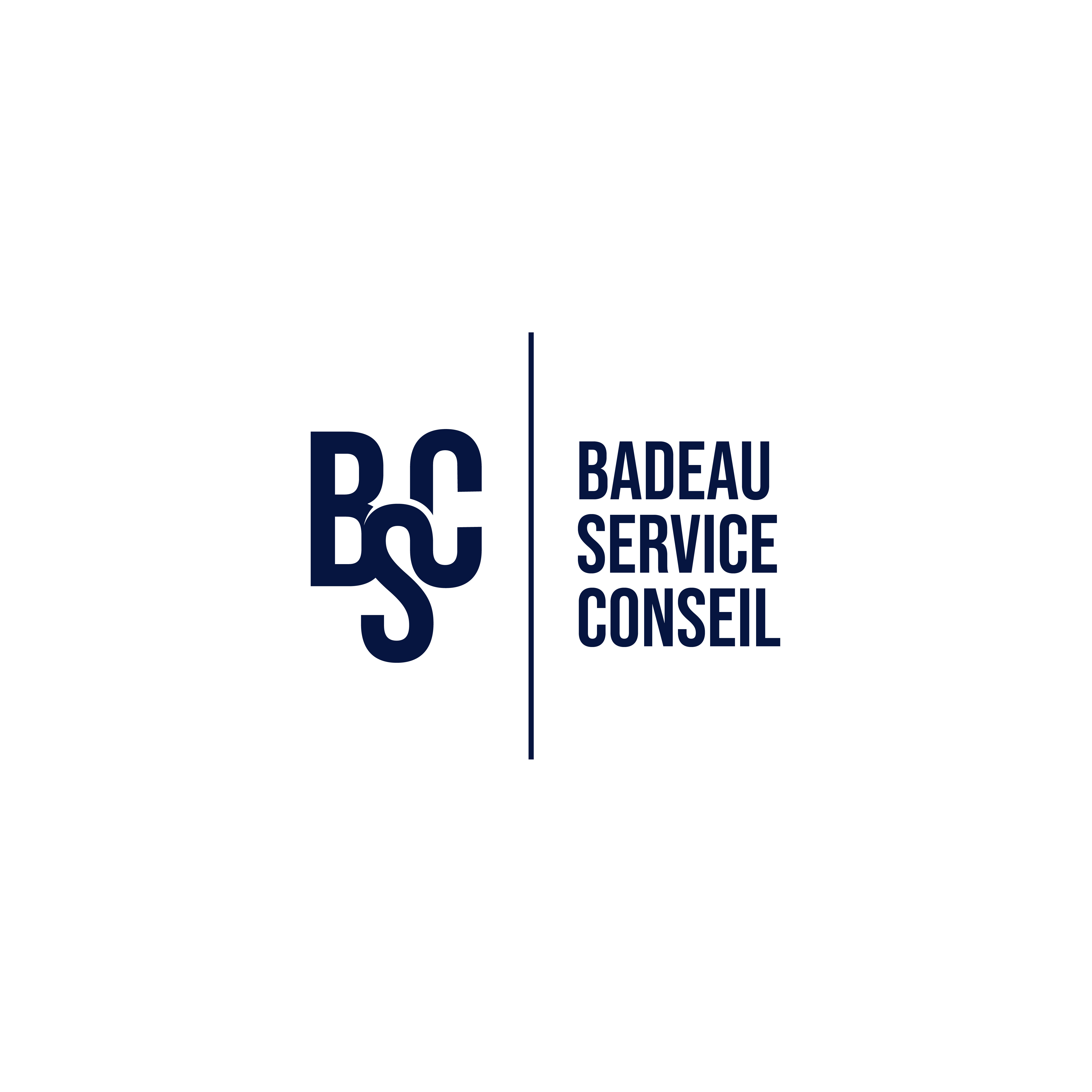 Logo Design by Fezy Design Studio for Badeau Service Conseil | Design #27996044
