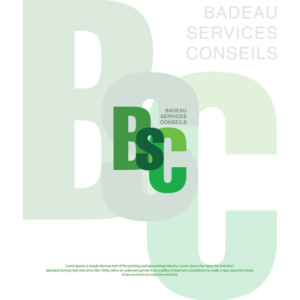 Logo-Design von creative.bugs für Badeau Service Conseil | Design: #28010123