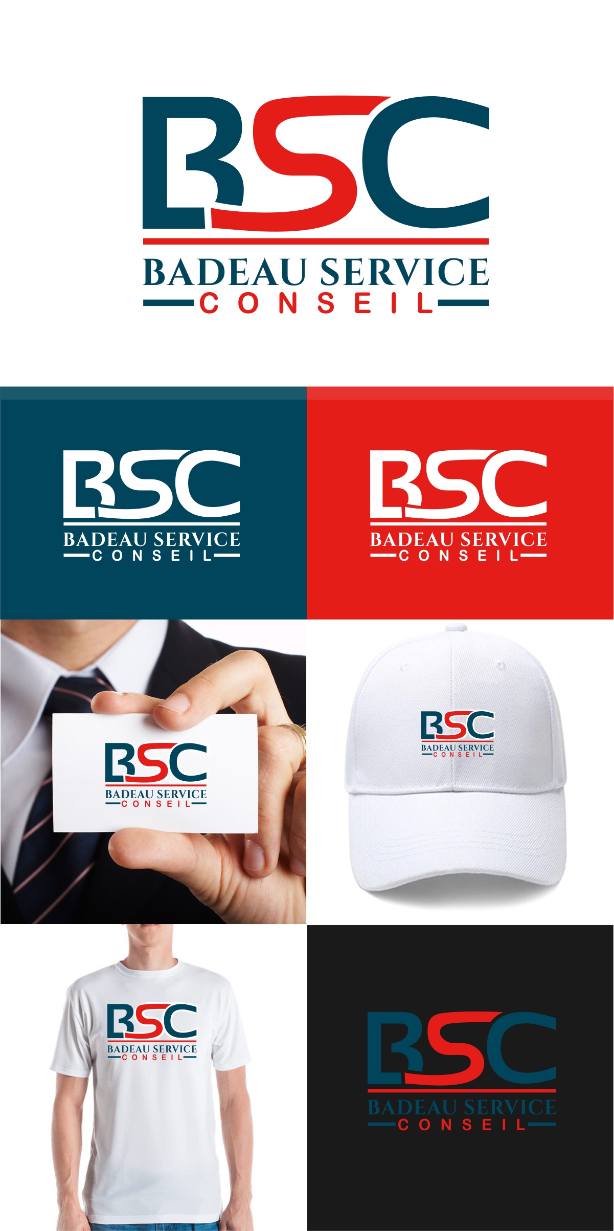 Logo-Design von fly  design für Badeau Service Conseil | Design #28021190