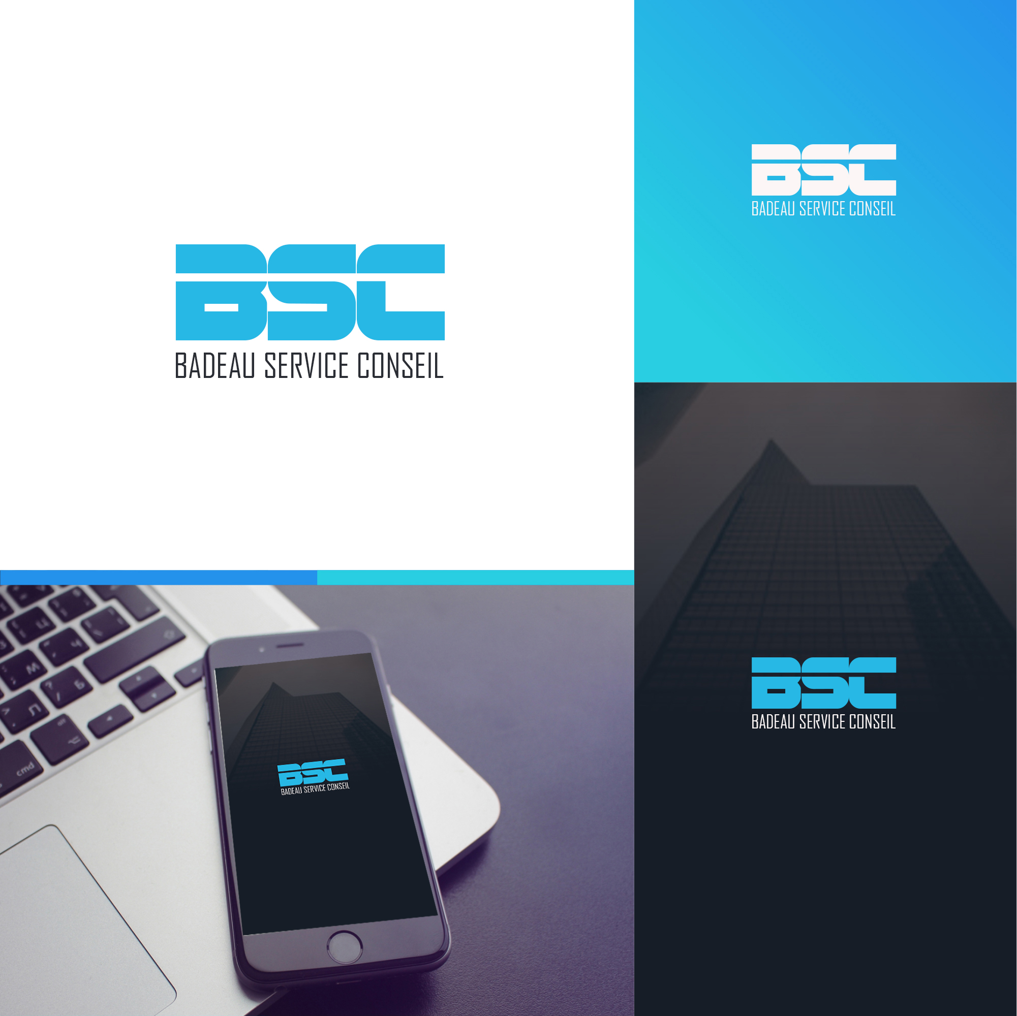 Logo-Design von Roman Designs für Badeau Service Conseil | Design #27999565