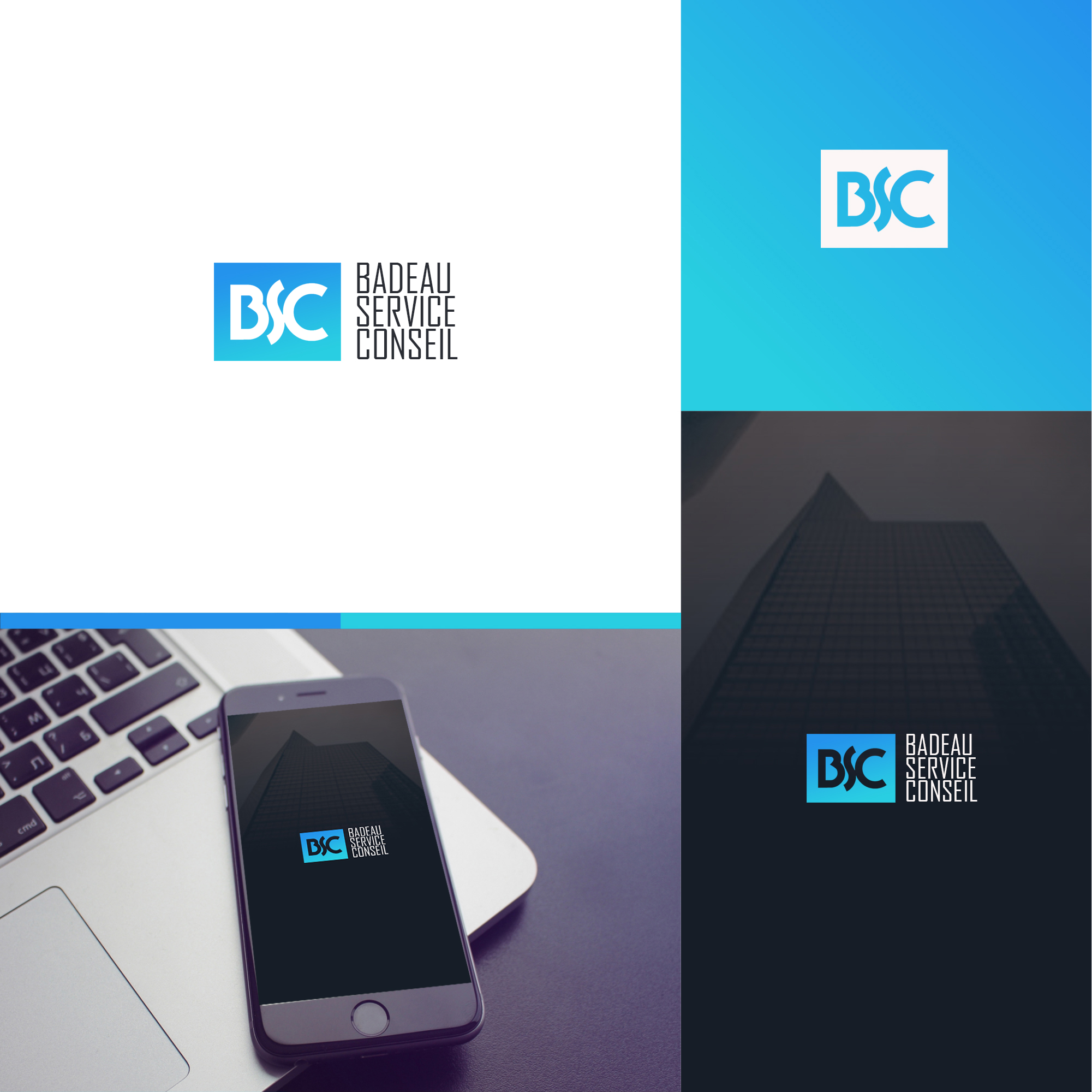 Logo Design by Roman Designs for Badeau Service Conseil | Design #27999569