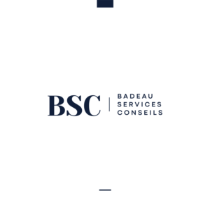 Logo-Design von JBalloon Design für Badeau Service Conseil | Design: #28021117