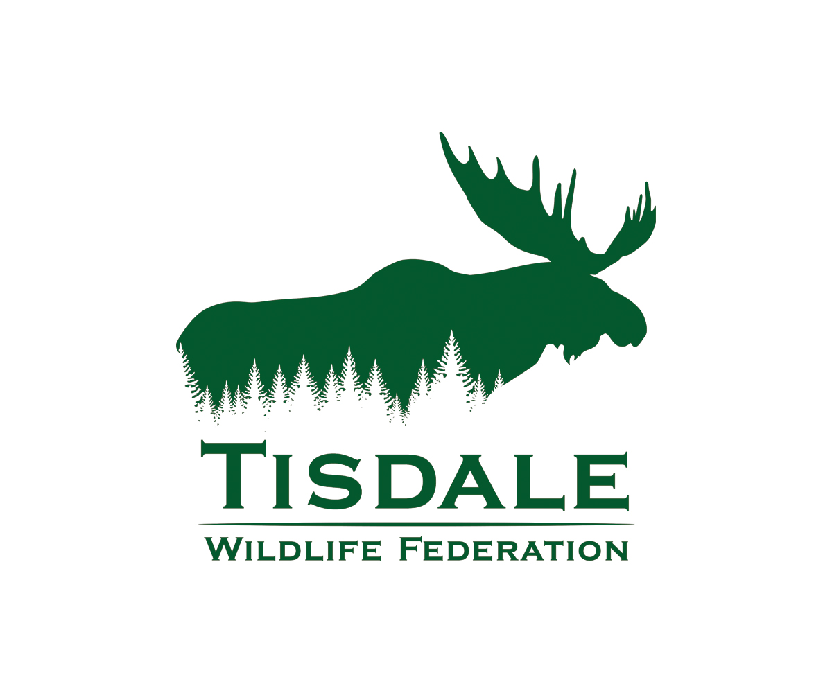 Logo Design by vincent.designpro for this project | Design #27990970