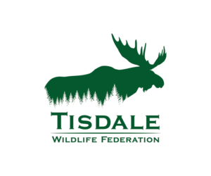 Logo Design by vincent.designpro for this project | Design: #27990970