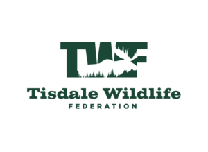 Logo Design by Grafactory