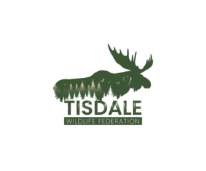 Logo Design by TrisDesign for this project | Design: #28014872