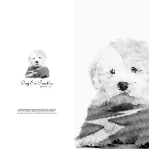 Logo Design by NSP Design for this project | Design: #28082423